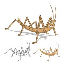 Stick Insect Stock Illustrations 1 736 Stick Insect Stock Illustrations Vectors Clipart Dreamstime Man mustache with walking stick icon, cartoon style. stick insect stock illustrations 1