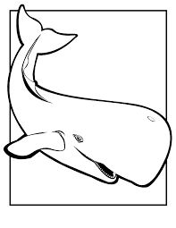 The coloring page is printable and can be used in the classroom or at home. Free Printable Whale Coloring Pages For Kids