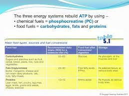 Are first compressed into smaller units: Key Knowledgekey Skills The Three Energy Systems Atp Pc Anaerobic Glycolysis Aerobic Systems Including How They Work Together To Produce Atp Both Ppt Download