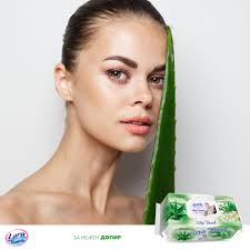 Смирувачката моќ на АЛОЕ ВЕРА, спакувана во пакување од 100 влажни LARA  марамици! 🌿 ➡Продажни места: https://hemofarm-komerc.mk/prodazni-mesta/