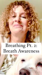 Breathing Exercises Pt 2: Breath Awareness, Sometimes all it takes to calm  yourself down in stressful situations, such as taking an audition or  performing, is to focus
