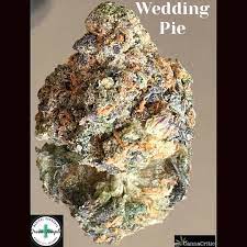 Strain Review Wedding Pie From Green Temple The Highest Critic