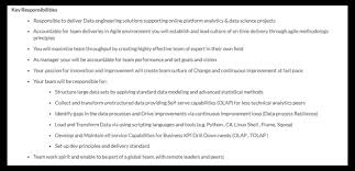 big data engineer resume sample data
