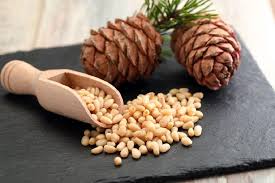 Berapa berapa harga buah pinang hari ini? Di Mana Adakah Kacang Pine Datang Dari
