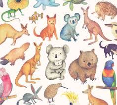 Tbt Australian Animals And A Kiwi Bird Hand Painted For The Aussie Mates Greeting Cards For For A Australia Animals Kangaroo Illustration Australian Animals