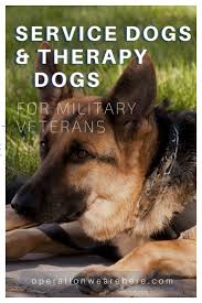 Loving dog that loves attion. Military Service Dogs Therapy Dogs And Companion Pets Veterans