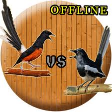 Check spelling or type a new query. Updated Suara Kacer Dan Murai Batu Mod App Download For Pc Android 2021