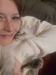 Ragdoll cat Mr Jazzy seeks forever retirement home