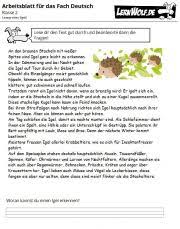 In den folgenden sätzen hast du immer drei wörter zur auswahl. Ubungen Deutsch Klasse 2 Kostenlos Zum Download Lernwolf De