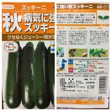 ズッキーニ 秋 栽培