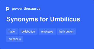 Image result for Umbilicus