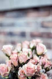 A comprehensive guide to finding and ordering the perfect floral gift for that special we use flowers for almost every special occasion, and there are many retailers committed to providing them. Stop And Smell The Roses Right In Your Own Home Shop Our Selection Of Rose Bouquets Today We Offer Local Delivery To June Birth Flower Flowers Birth Flowers