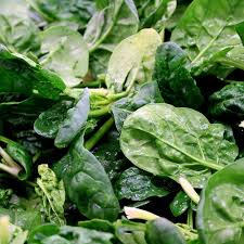C'est l'été, plantons nos légumes d'hiver ! Semez Des Epinards Geants D Hiver Ou Junius En Sachet De 10 Grammes