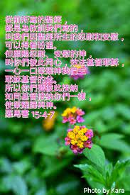 羅馬書15 4 7 bible quotes s word bible