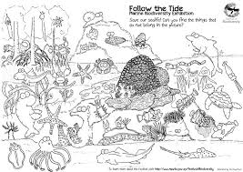 Mango fruits are exotic and tasty and make a great coloring subject. Ocean Coloring Pages Best Coloring Pages