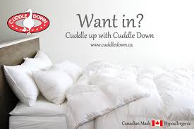 To others considering ordering from cuddledown, please take this as a warning. Vxvdrjujrbnaqm