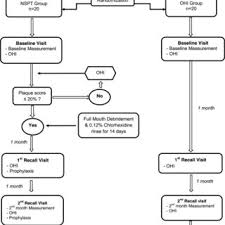 flow chart of the study protocol flow chart shows the