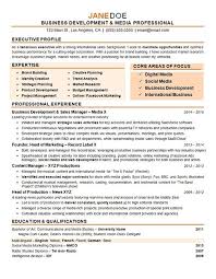 Business Development Manager Resume Examples Marketing In 2020 Marketing Resume Resume Objective Examples Business Resume