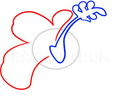 Whether you're in the classroom or keeping flowers coloring pages at momswhothink are especially popular in the spring as tulips, daisies, and roses are starting to display their beauty to. How To Draw A Hawaiian Flower Coloring Page Trace Drawing