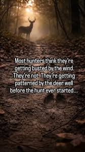 If you aren't paying attention to your entry and exit of the woods, you ...