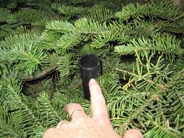 Fill up water pick reservoir with water. Christmas Tree Watering Hack Instructables