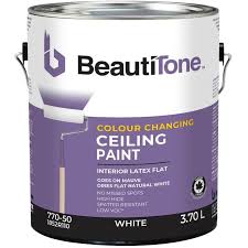 Latex Ceiling Paint