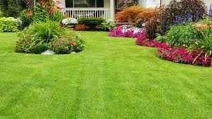 When to reseed lawn in missouri. 5 Easy Steps To A New Lawn Missouri Southern Seed