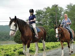 Guided Trail Rides Willow Grove Farm Stables