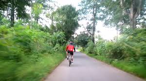 The video has been added to your member zone favourites. Serunya Turunan Gunung Rowo Pati Jawa Tengah Hingga Kecepatan 80km Jam Youtube