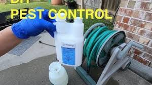 Is home to one or more species of subterranean termites, and los angeles is no exception. Diypestcontrol Youtube