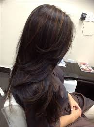 Keep in mind that black hair highlights can make for quite a dramatic hair color change, so your best bet may be to visit a professional colorist as the process often consider giving black hair with silver highlights a try. 17 Best Ideas About Dark Hair Highlights On Pinterest Dark Highlight Color Ideas For Black Hair Highlight Color Ide Hair Styles Long Hair Styles Long Dark Hair