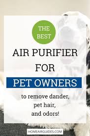 Once you test air purifier and see how well it removes pet odors, you will never turn it off. 20 Best Air Purifier For Pets Ideas Pet Odors Air Purifier Cat Dander