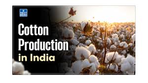 Cotton Production in India: Climatic Conditions, Distribution & Importance