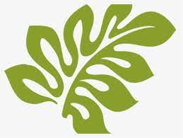 Multiple sizes and related images are all free on clker.com. Free Tropical Leaf Clip Art With No Background Clipartkey