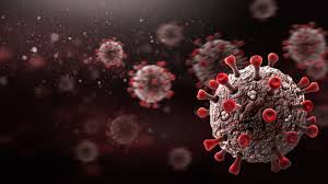 A new viral variant of the coronavirus, delta plus, was identified on june 11, and was recently classified as a variant of concern. Coronavirus News Highlights Delta Plus Is A Variant Of Interest Says Niti Aayog Member V K Paul Deccan Herald