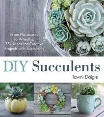 How To Build Your Own Succulent Letter Garden Mother Earth Living Succulents Succulents Diy Propagating Succulents