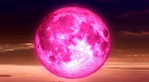 Attention toutefois, ne vous attendez pas à apercevoir une lune vraiment rose : La Pleine Lune Rose D Avril Se Revelera Dans La Nuit Du Mardi 7 Avril C Rak Be Israel Ste Alyaexpress News