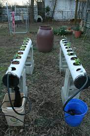 Nutrient Film Technique Wikiwand