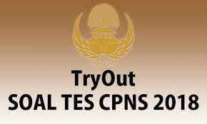 Contoh soal cpns 2018 pdf wawasan kebangsaan. Soal Try Out Tes Cpns 2018 Bank Soal Tes Terlengkap