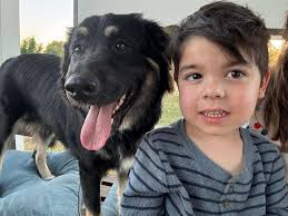 This sweet baby is at North Ridge Elementary! Looking for its owners!