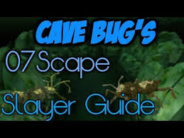In this quick slayer guide, we'll be going over everything you need to know about killing kalphites while on a konar task. Osrs Cannon Kalphite Guardian Osrs Kalphite Lair