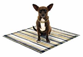 Say Goodbye To That White Diaper Look On Your Floor Our Metro Pads Are The Only Training Pad On The Market With Six Layers Of Absorption And Outdoor Blanket Picnic