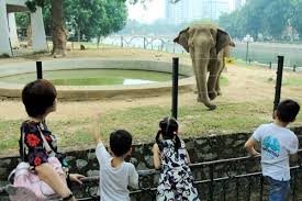 Tức là cái sở thú. Cong Vien Thá»§ Lá»‡ Ä'á»‹a Ä'iá»ƒm Vui ChÆ¡i Cho Tráº» Em Ly TÆ°á»Ÿng Táº¡i Ha Ná»™i