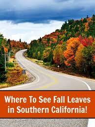 Where To See Fall Leaves In Southern California Socal