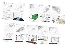 How do creationists argue with carbon dating? Carbon Dating Activity Super Value Puzzle