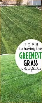Tips And Tricks To Having The Greenest Grass In The Neighborhood Paige S Party Ideas Lawn And Garden Weeds In Lawn Green Lawn