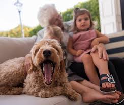 We're cedar park's experts in controlling pests like ants, fleas, roaches, rodents, scorpions, spiders, termites, and wasps. Aptive Environmental Official Website