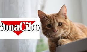 Bonacibo Kedi Mamasi Yorum Temizmama Suzionline