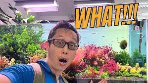 Trina Fish's Instagram, Twitter & Facebook