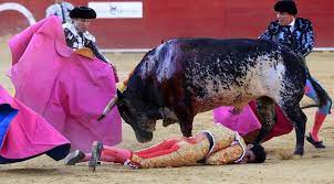 スペイン：闘牛士が闘牛中に死亡 - FIRSTonline